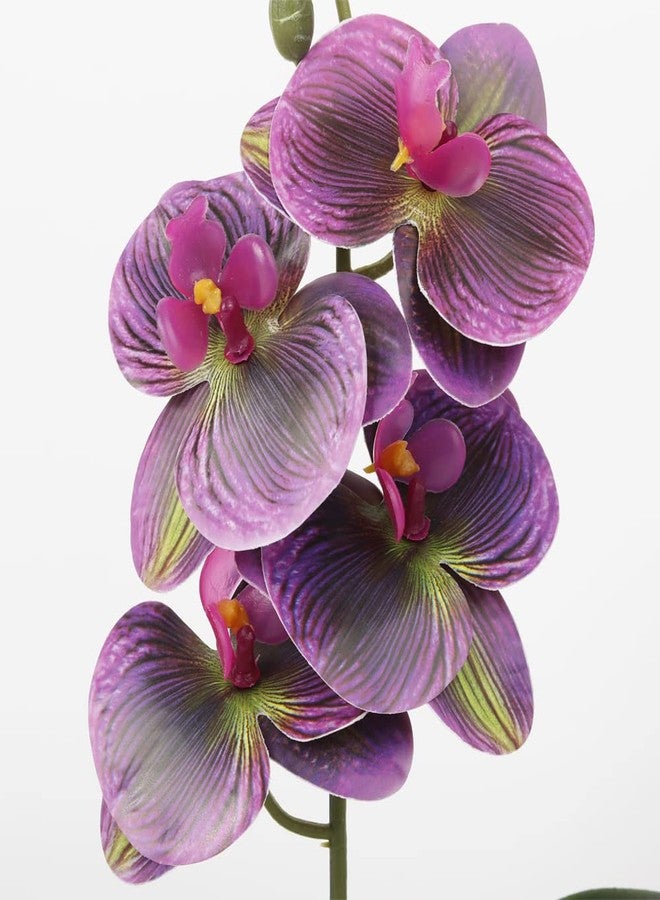 WOLEDOE Fake Orchids Artificial Flowers, Reptile Terrarium Decor Plants, Bearded Dragon Tank Accessories fit Crested Gecko Leopard Lizard Chameleon Ball Python Snake Frog (Radiant) - Image 5